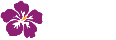 Altey — дитячі майданчики з вільхи