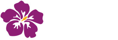 Altey — дитячі майданчики з вільхи